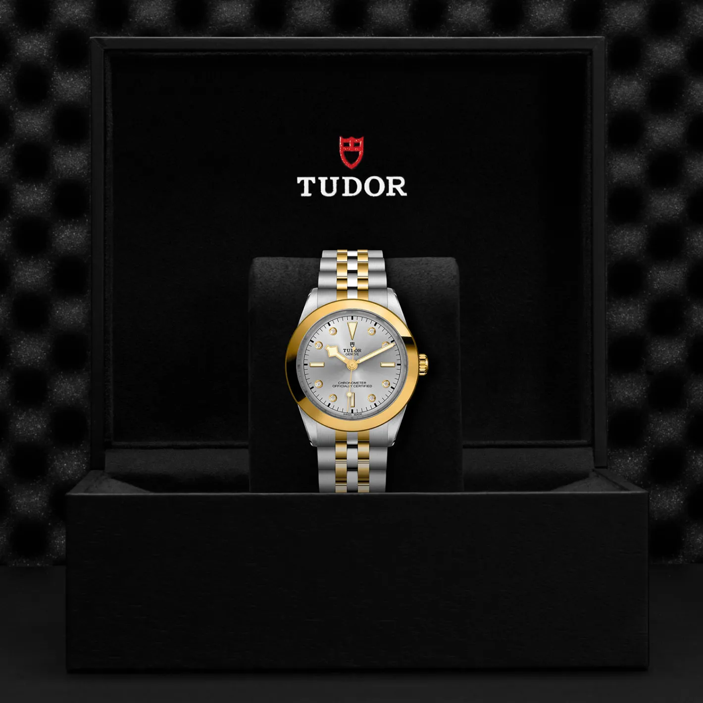 Tudor Black Bay 39 S&G Fashion