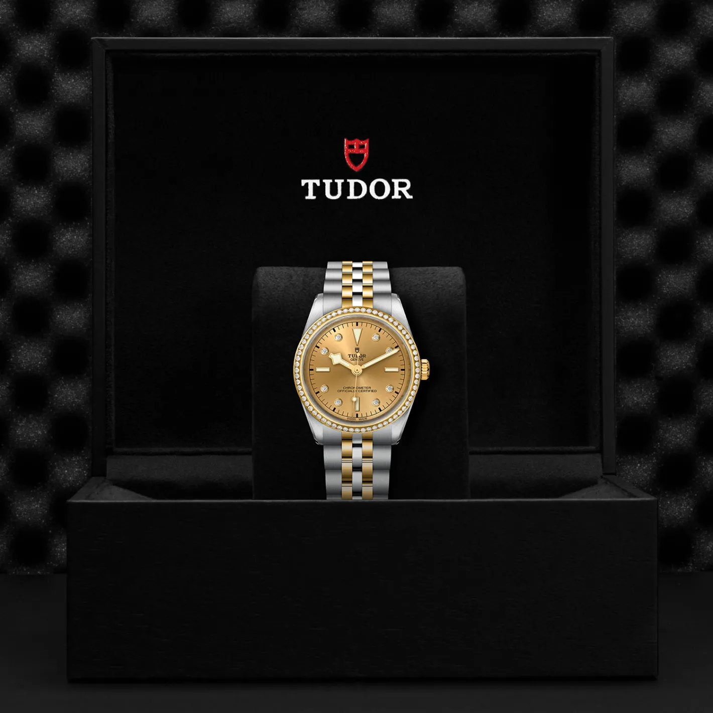 Tudor Black Bay 36 S&G Online