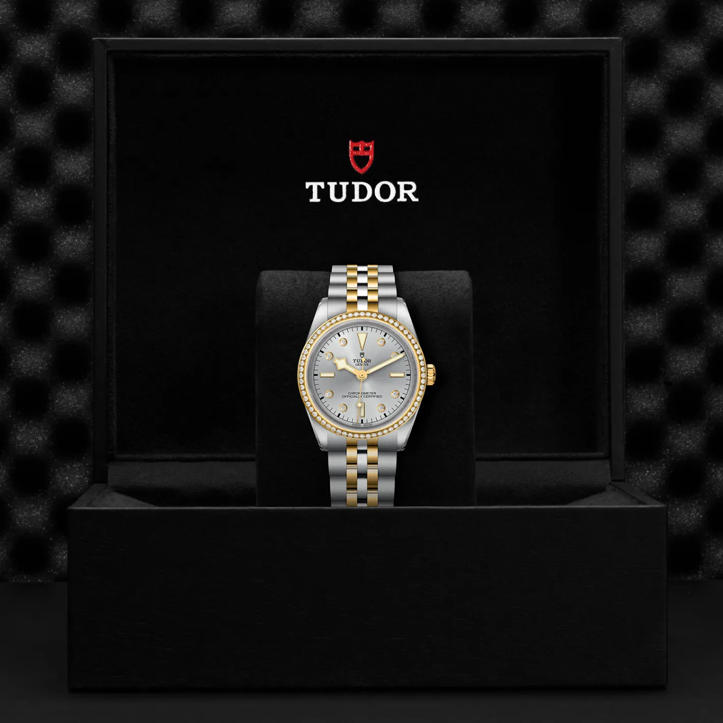 Tudor Black Bay 36 S&G Online
