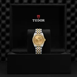Tudor Black Bay 31 S&G Hot