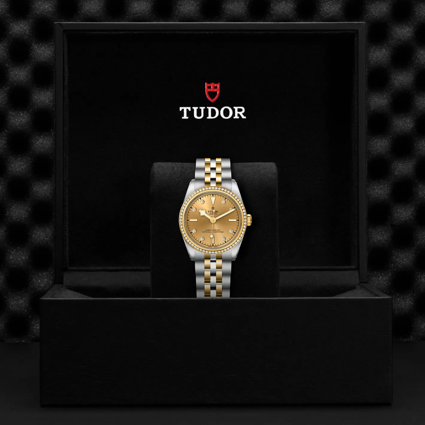Tudor Black Bay 31 S&G Hot