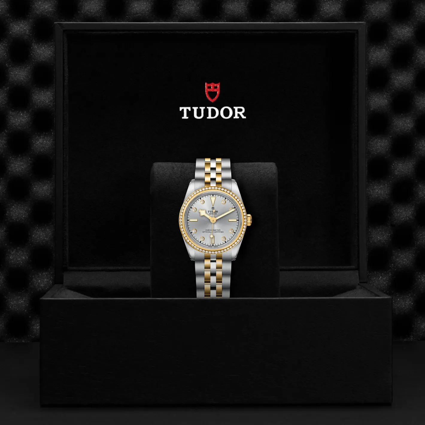 Tudor Black Bay 31 S&G Discount
