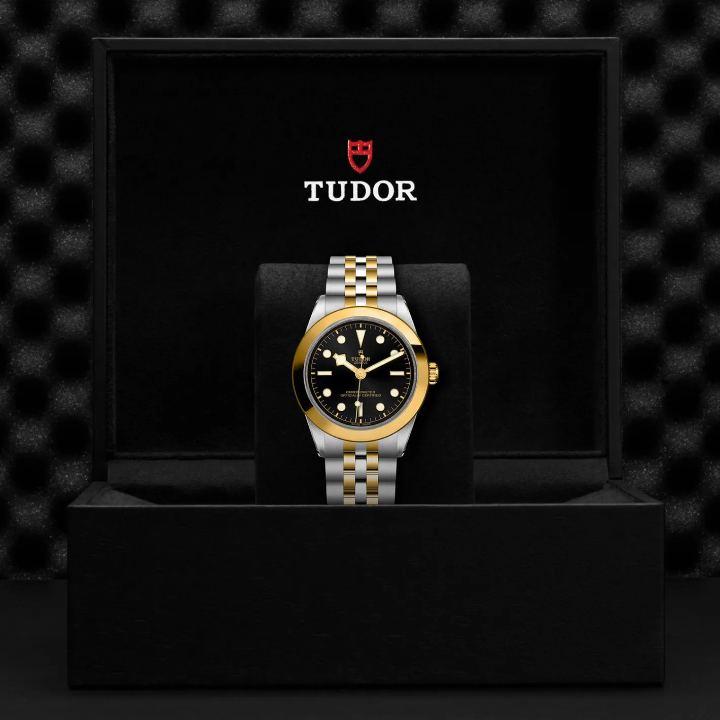 Tudor Black Bay 39 S&G Fashion