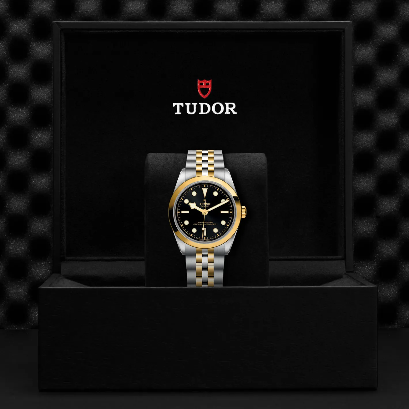 Tudor Black Bay 36 S&G Fashion