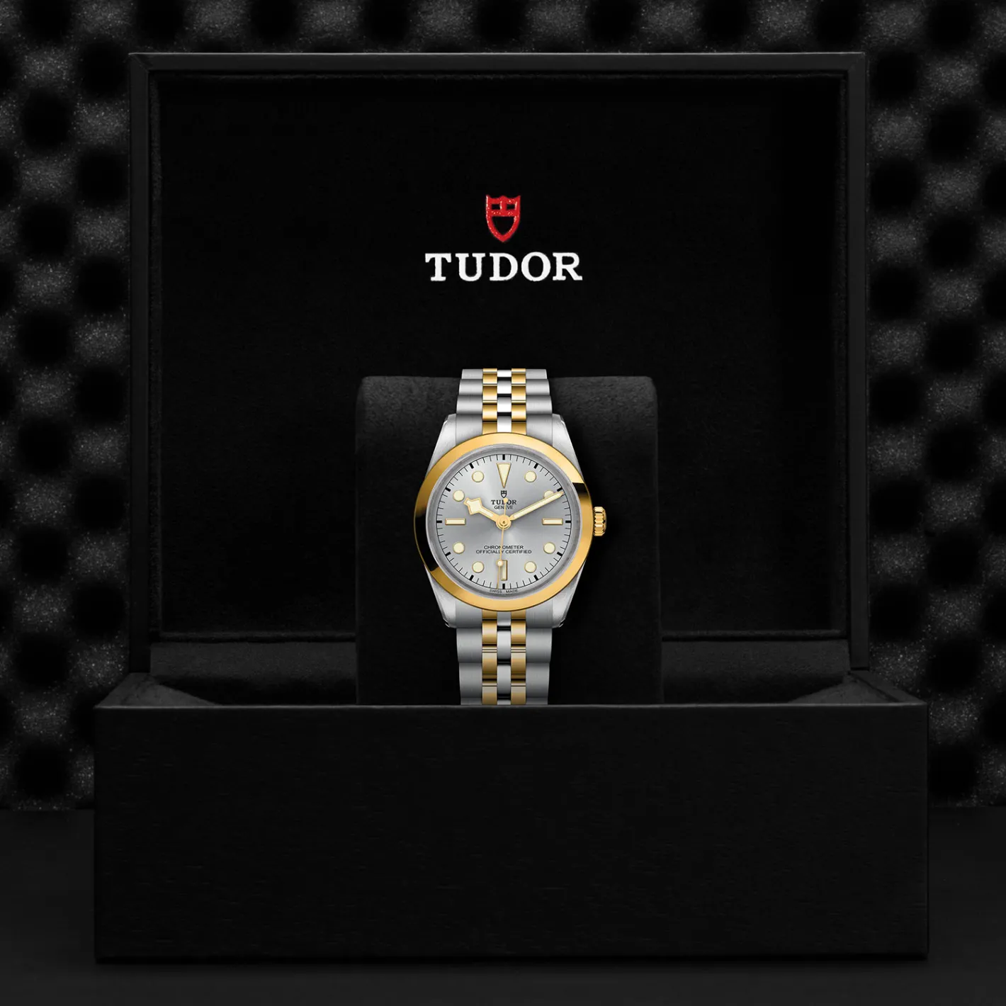 Tudor Black Bay 36 S&G Discount