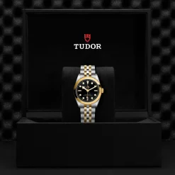 Tudor Black Bay 31 S&G Hot