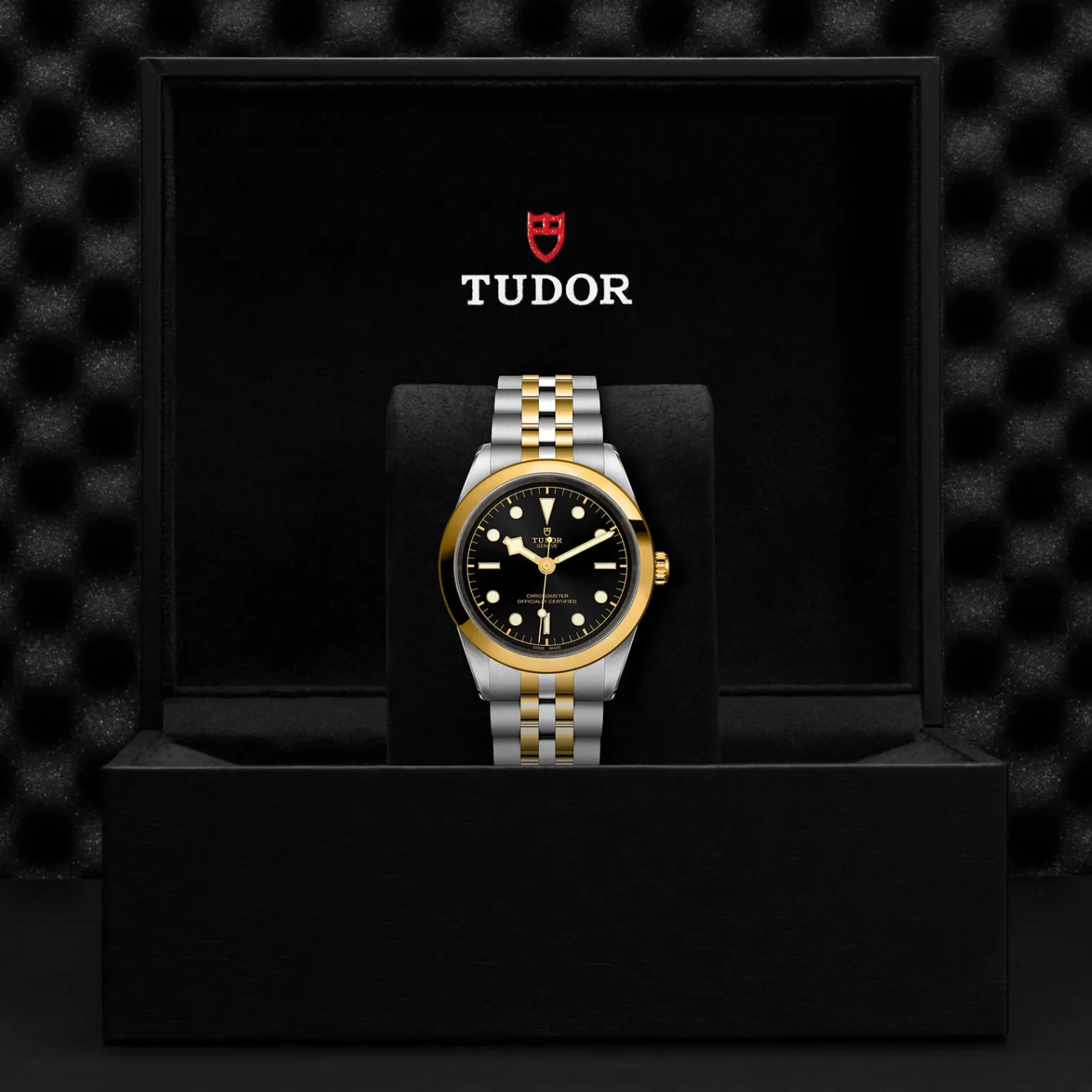 Tudor Black Bay 41 S&G Fashion