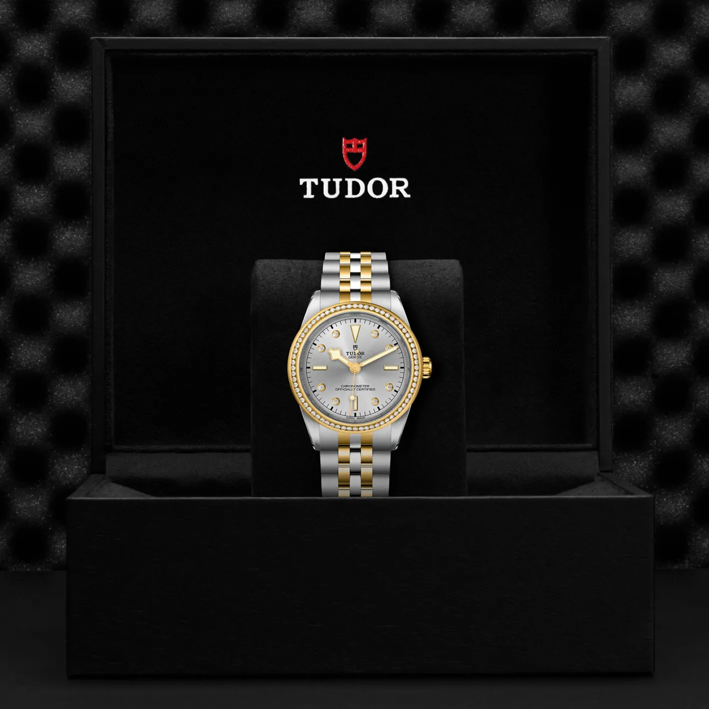 Tudor Black Bay 39 S&G Sale