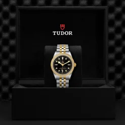 Tudor Black Bay 39 S&G New