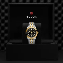 Tudor Black Bay 39 S&G Online