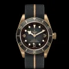 Tudor Black Bay Bronze Best