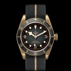 Tudor Black Bay Bronze Best