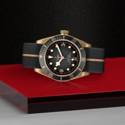 Tudor Black Bay Bronze Best