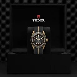 Tudor Black Bay Bronze Best