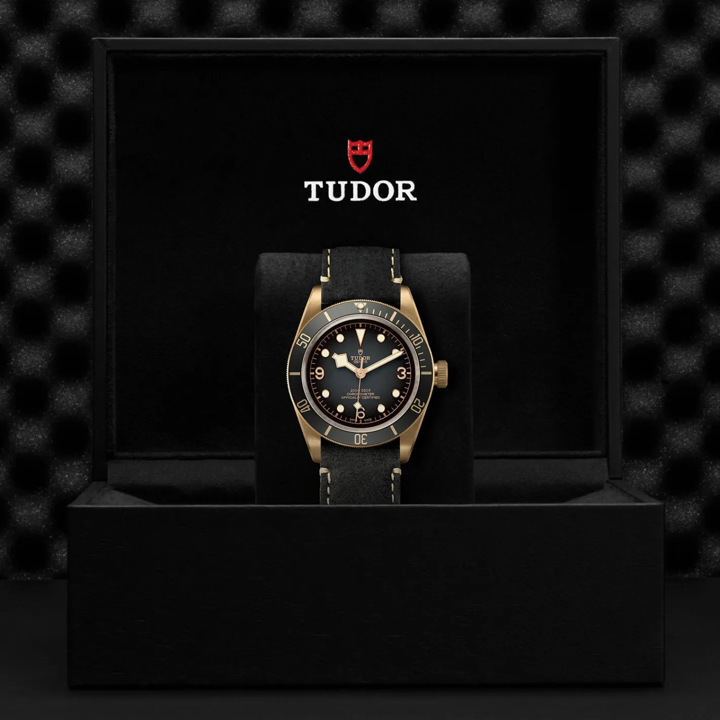 Tudor Black Bay Bronze Fashion