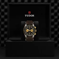 Tudor Black Bay Chrono S&G Online