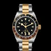 Tudor Black Bay GMT S&G Hot