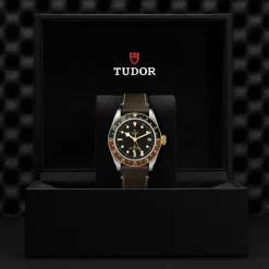 Tudor Black Bay GMT S&G Best