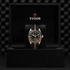 Tudor Black Bay GMT S&G New