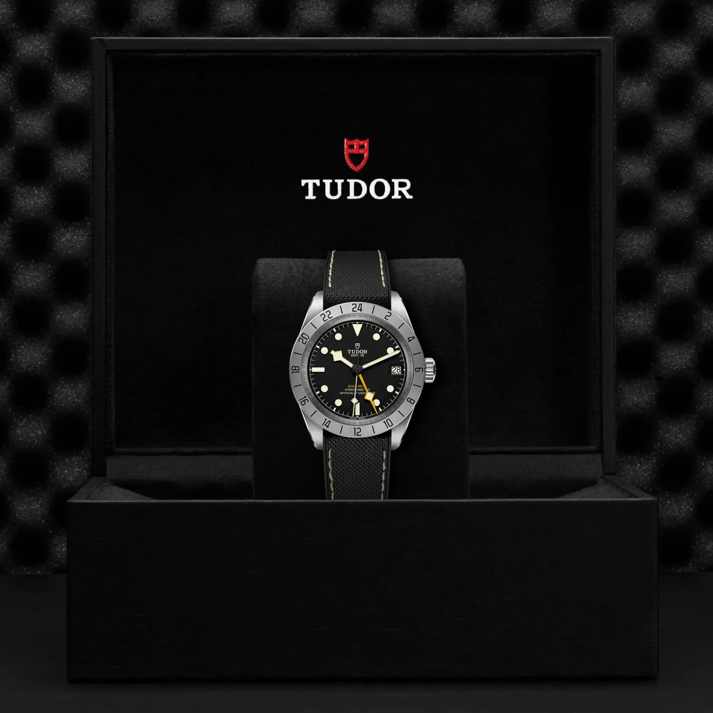 Tudor Black Bay Pro Online
