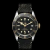Tudor Black Bay S&G Sale
