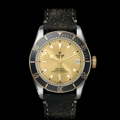 Tudor Black Bay S&G New
