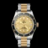 Tudor Black Bay S&G Discount