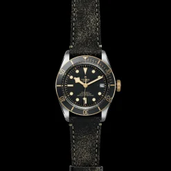 Tudor Black Bay S&G Sale