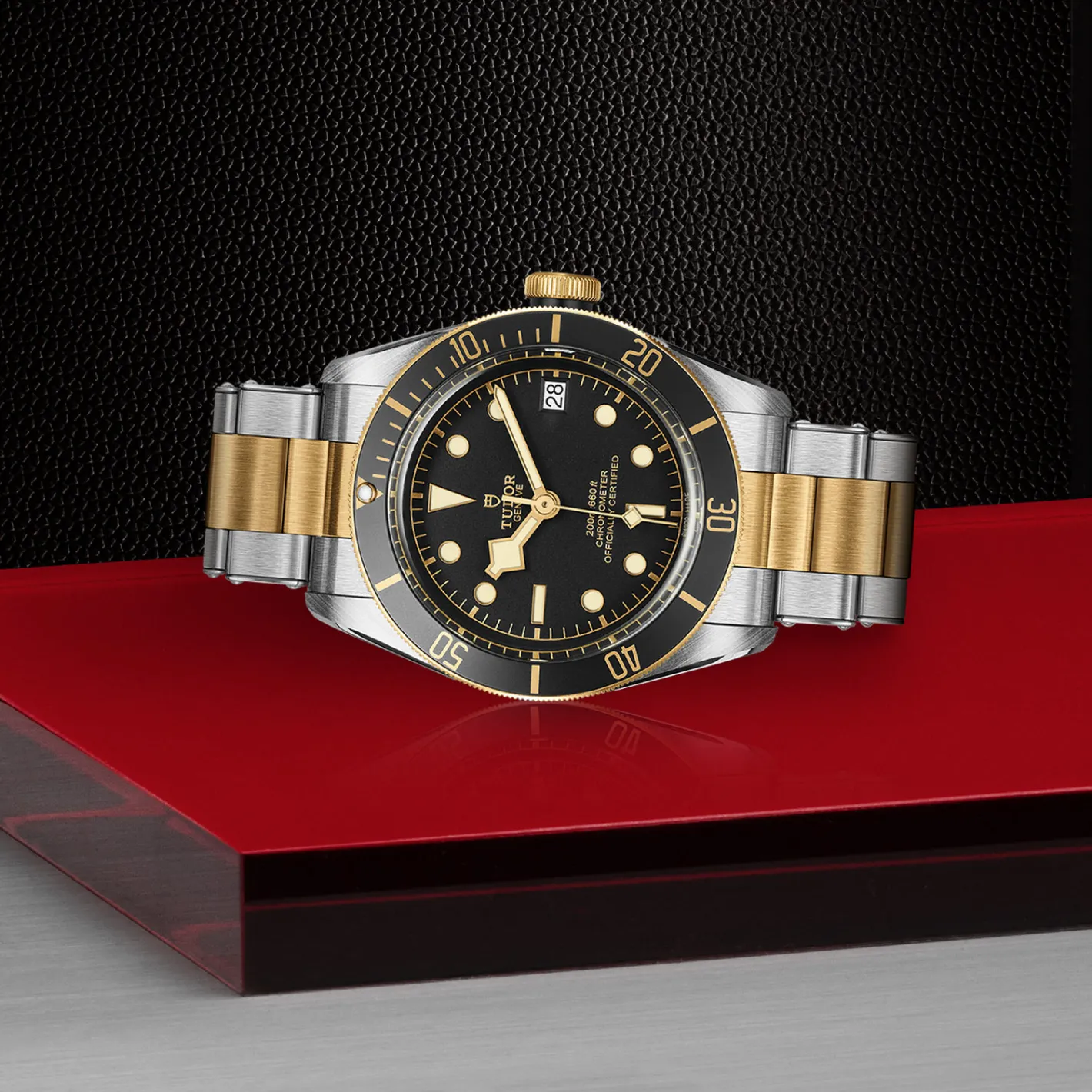 Tudor Black Bay S&G Clearance