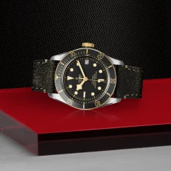 Tudor Black Bay S&G Sale