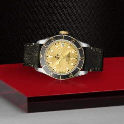Tudor Black Bay S&G New