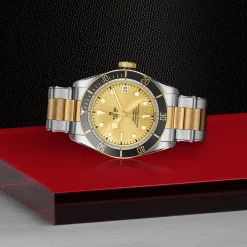 Tudor Black Bay S&G Discount