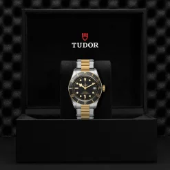 Tudor Black Bay S&G Clearance