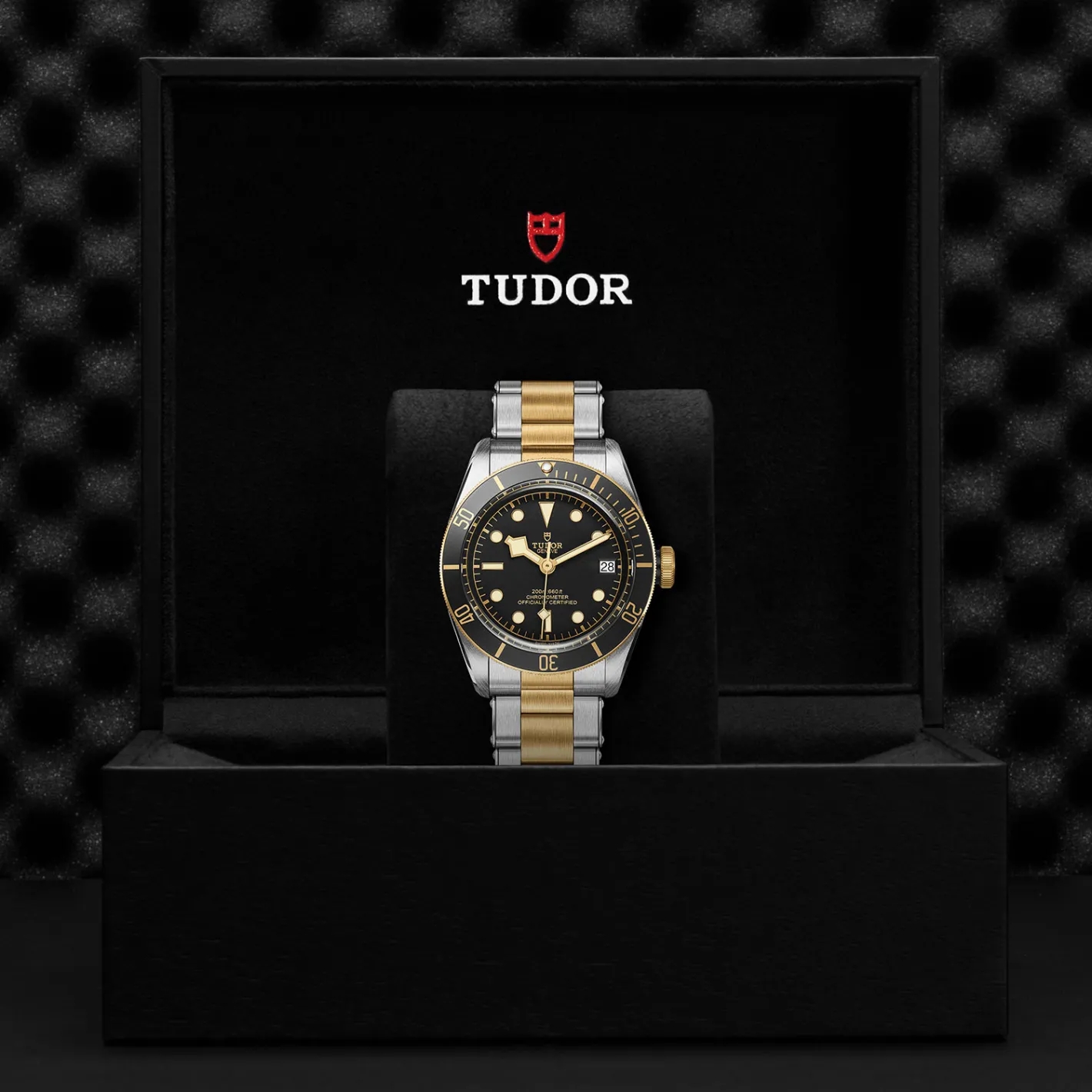 Tudor Black Bay S&G Clearance