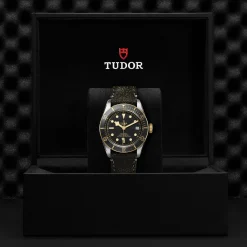 Tudor Black Bay S&G Sale