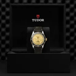 Tudor Black Bay S&G New