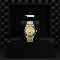 Tudor Black Bay S&G Discount