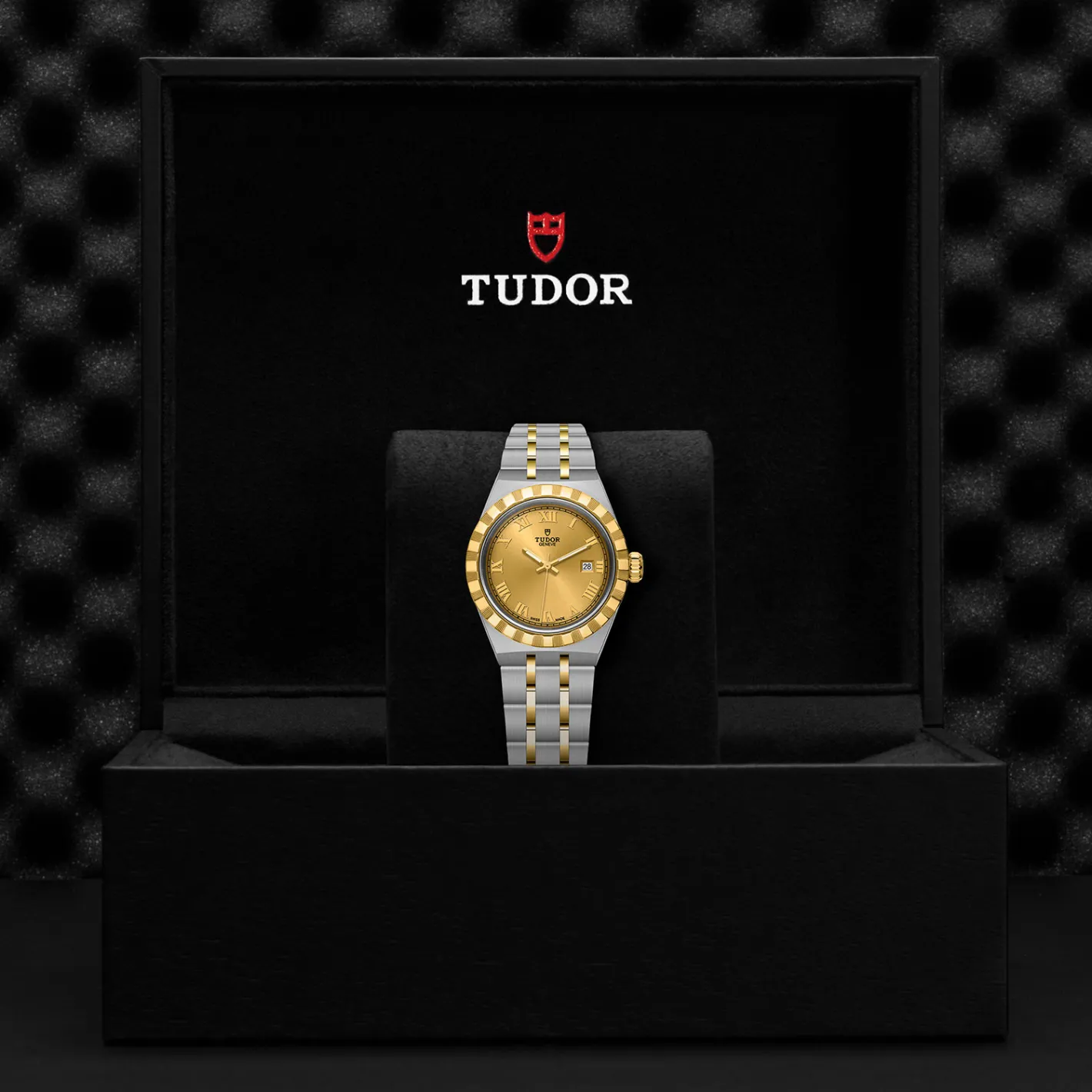 Tudor Royal Clearance
